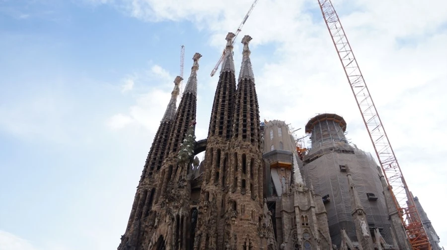 DSC09462.jpg?type=w1