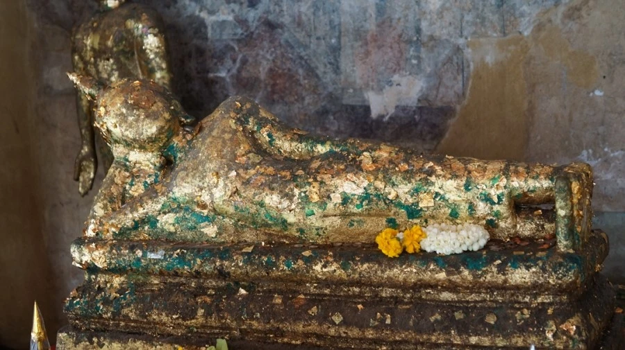 DSC01282.jpg?type=w1