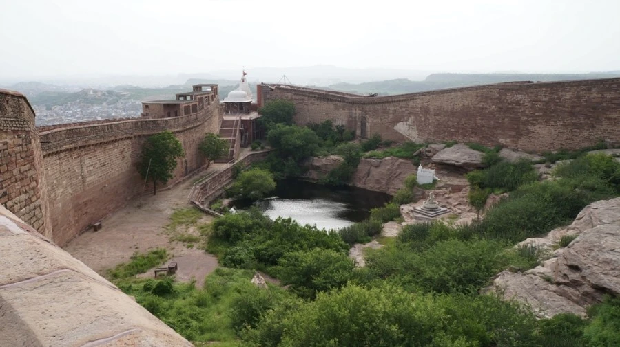 DSC03111.jpg?type=w1