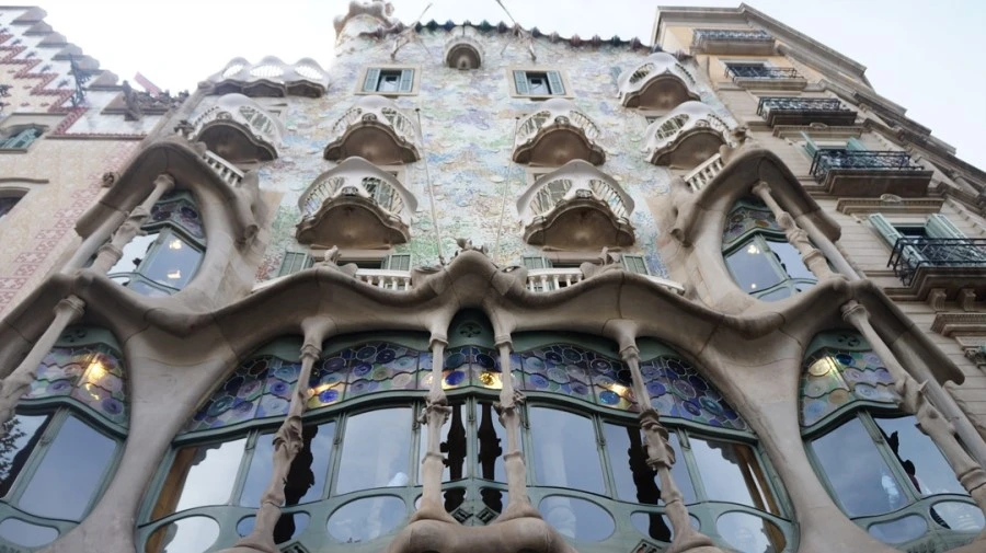 DSC09357%E3%85%A1.jpg?type=w1