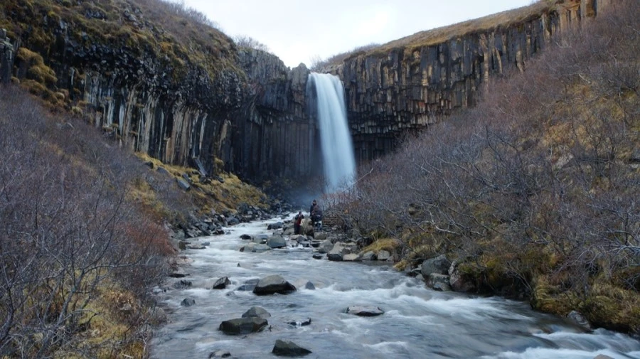 DSC08994%E3%85%A1.jpg?type=w1