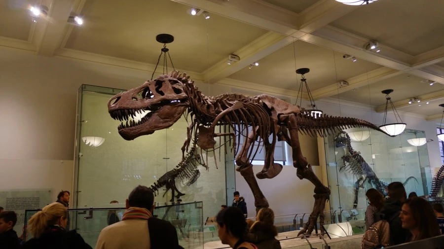 DSC04392.jpg?type=w1