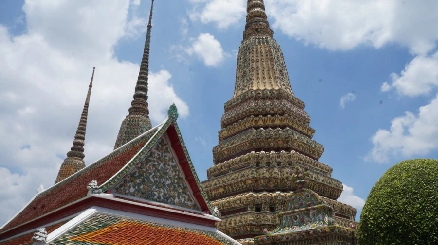 DSC01311.jpg?type=w1