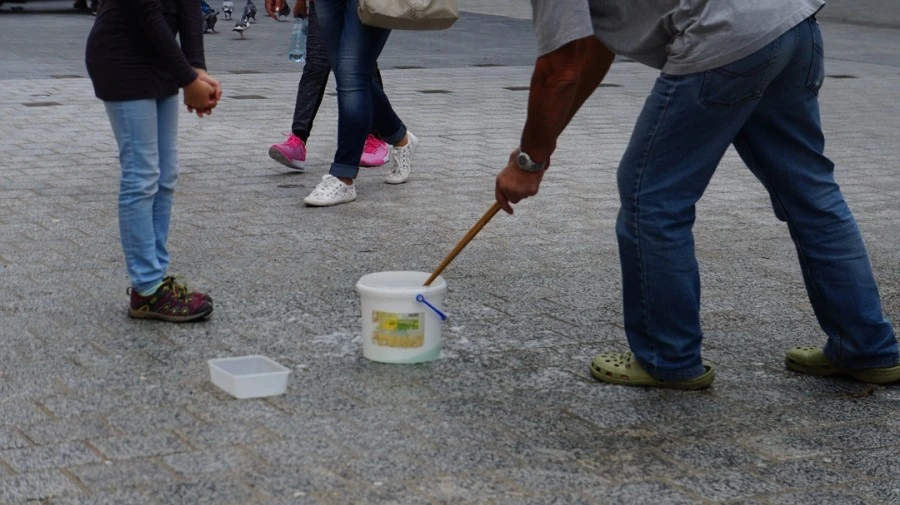 DSC04752.jpg?type=w1