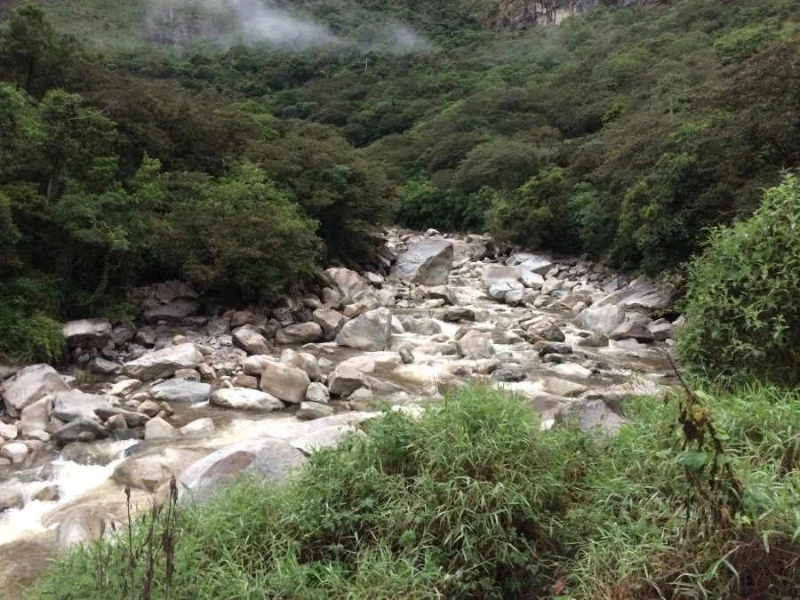 IMG_7749.jpg?type=w1