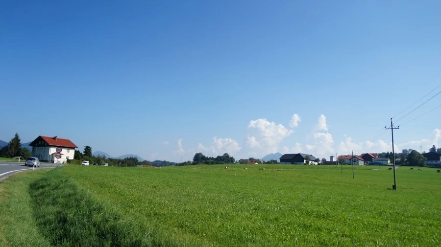 DSC05142.jpg?type=w1