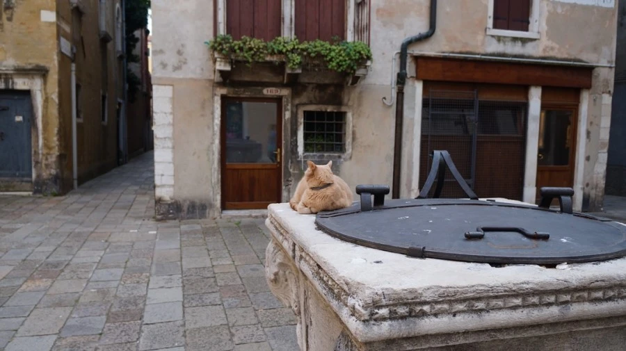 DSC06766.jpg?type=w1