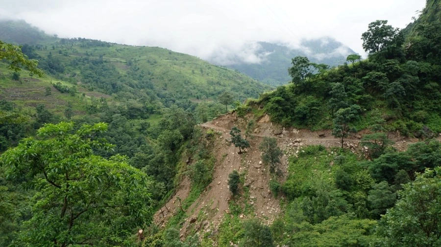 DSC01054%A4%BB.jpg?type=w1