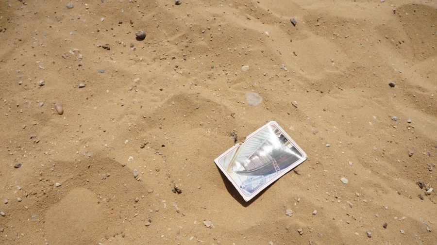 DSC04494.jpg?type=w1