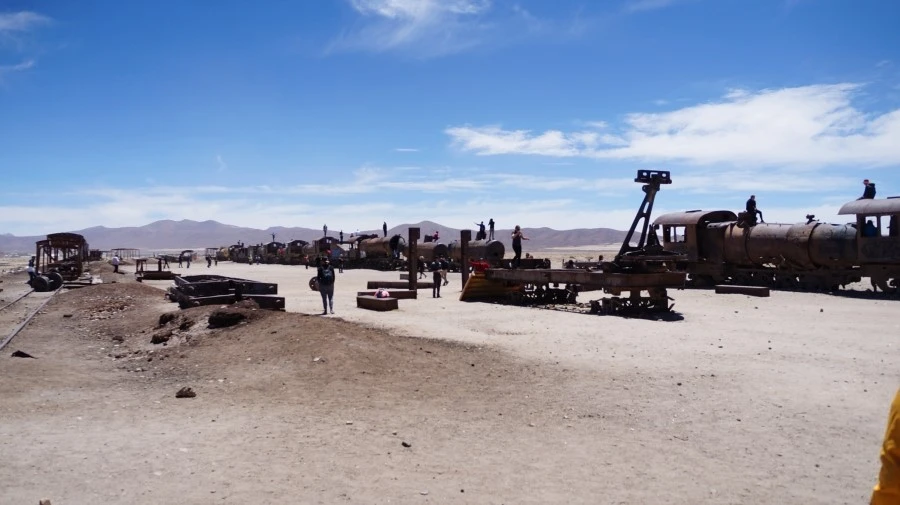 DSC00997.jpg?type=w1