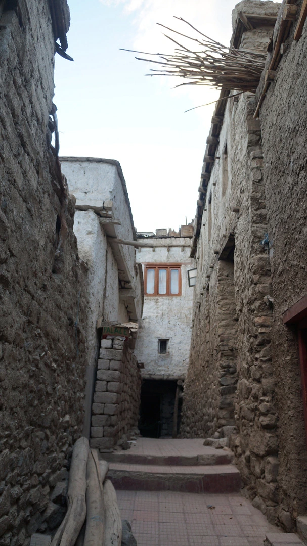 DSC01821.jpg?type=w1