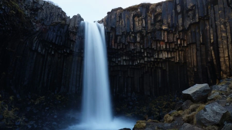 DSC09010%E3%85%A1.jpg?type=w1