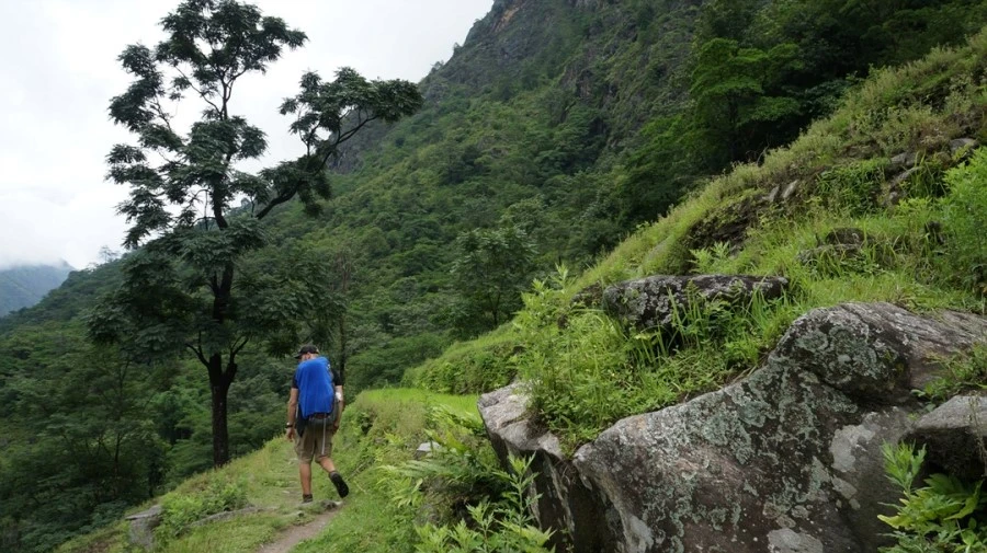 DSC01073%A4%BB.jpg?type=w1