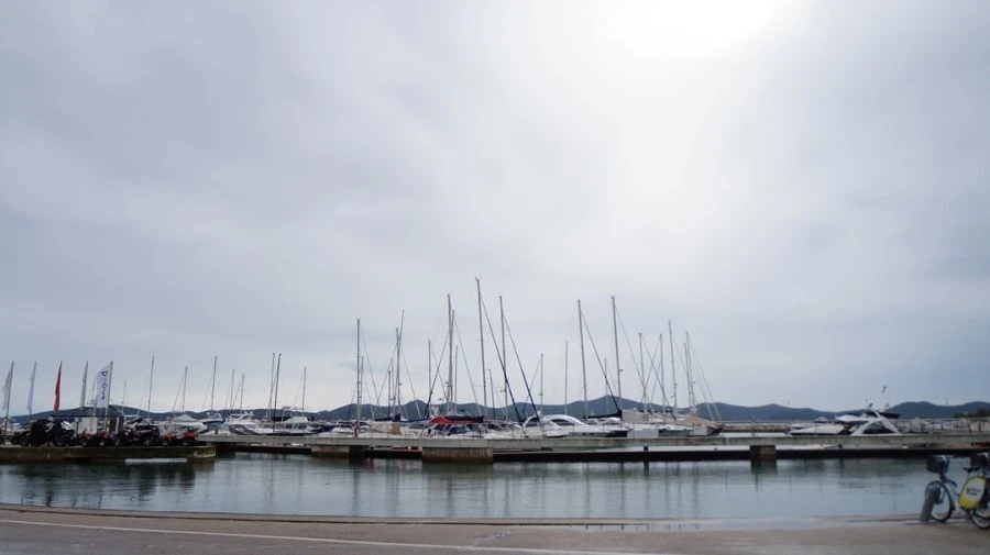 DSC06205.jpg?type=w1