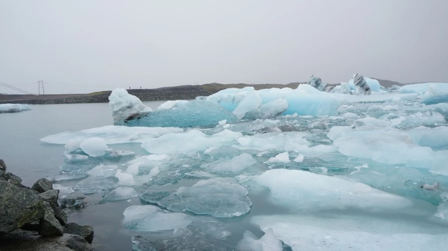 DSC09118.jpg?type=w1