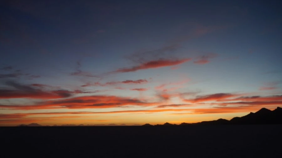 DSC01353.jpg?type=w1