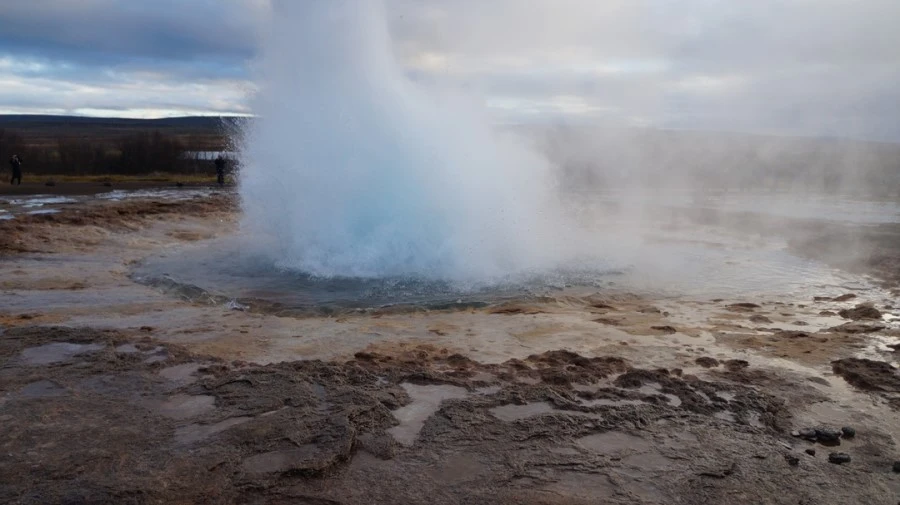 DSC07782.jpg?type=w1