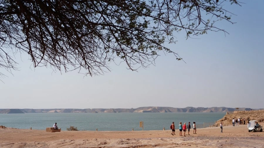 DSC04261.jpg?type=w1