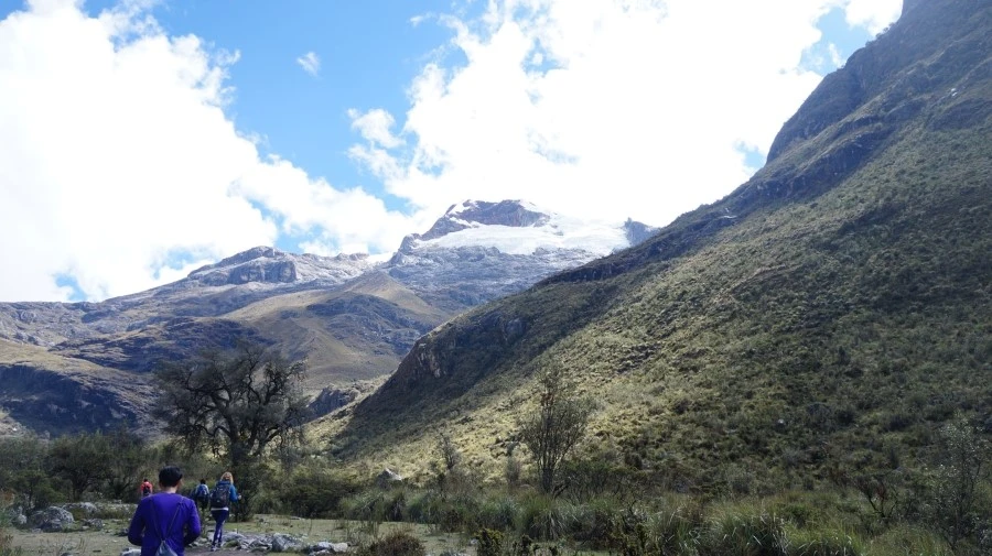 DSC01600.jpg?type=w1