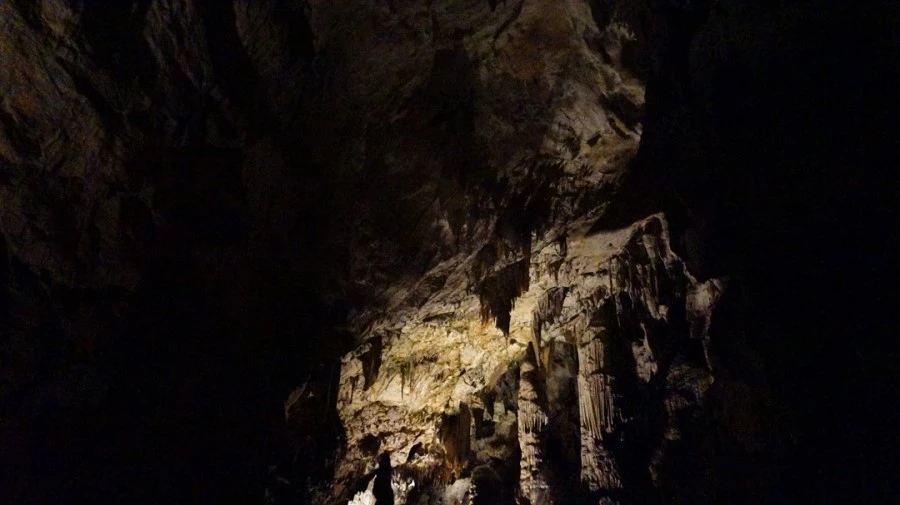 DSC06222.jpg?type=w1