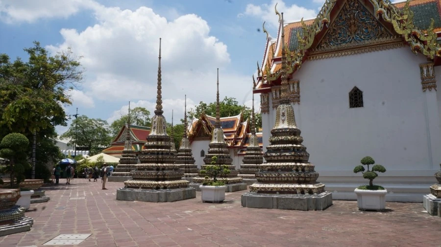 DSC01315.jpg?type=w1