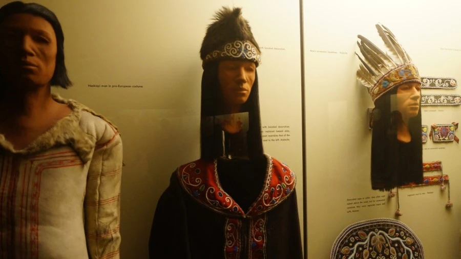 DSC04380.jpg?type=w1