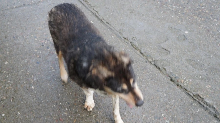 DSC02567.jpg?type=w1