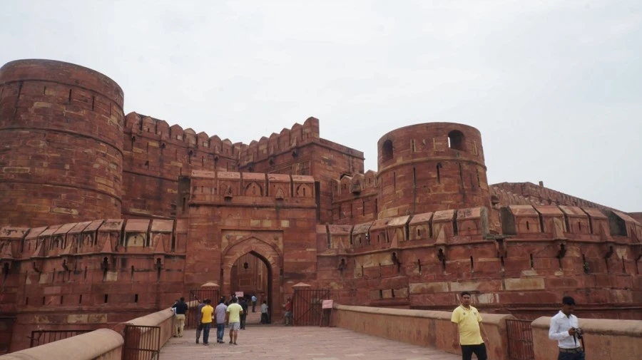 DSC03336.jpg?type=w1