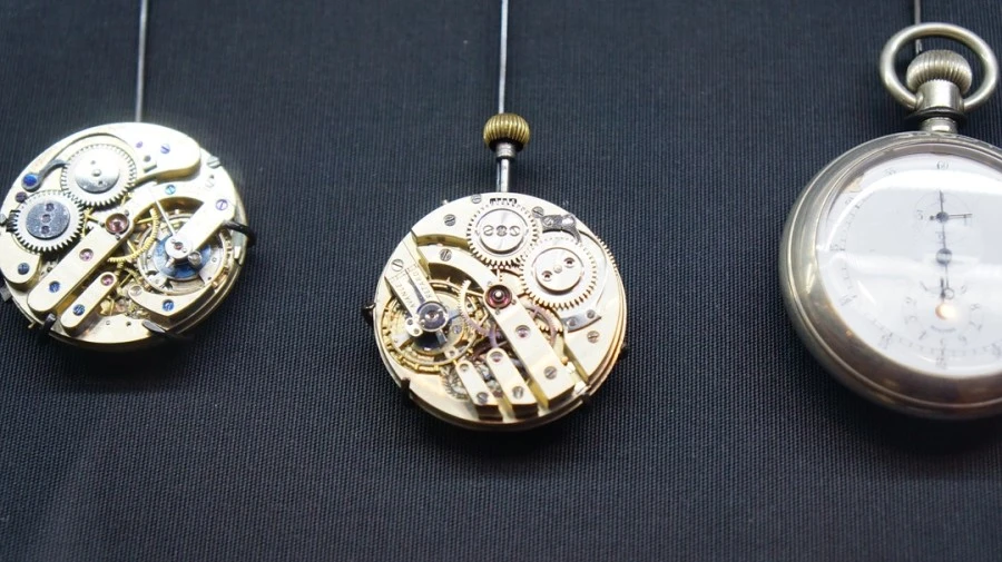 DSC05068.jpg?type=w1