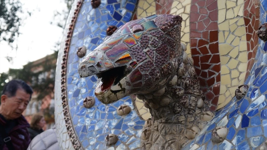 DSC09718.jpg?type=w1