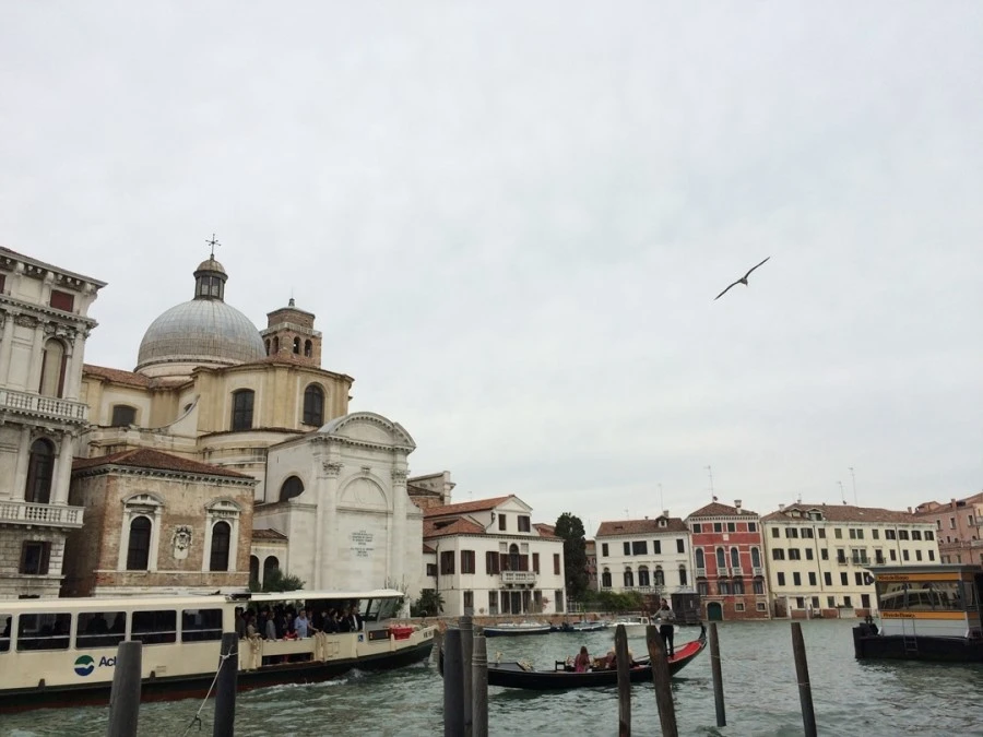 IMG_4948.jpg?type=w1