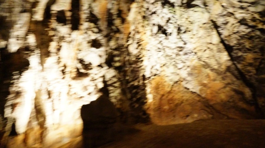 DSC06505.jpg?type=w1