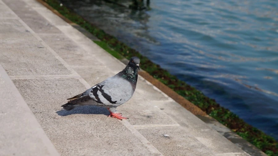 DSC06566.jpg?type=w1