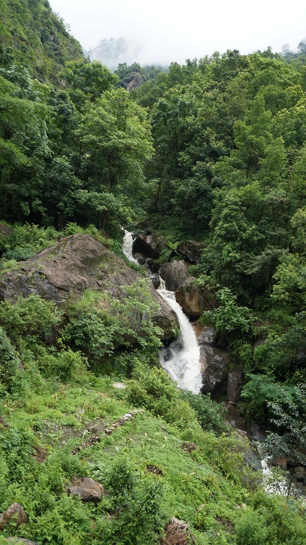 DSC01057%A4%BB.jpg?type=w1