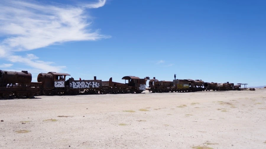 DSC00957.jpg?type=w1