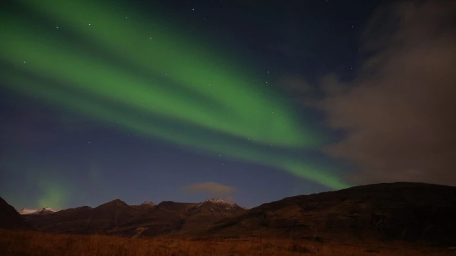 DSC09100.jpg?type=w1