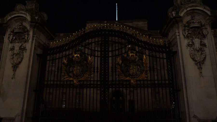 DSC09861.jpg?type=w1