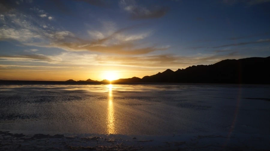 DSC01294.jpg?type=w1