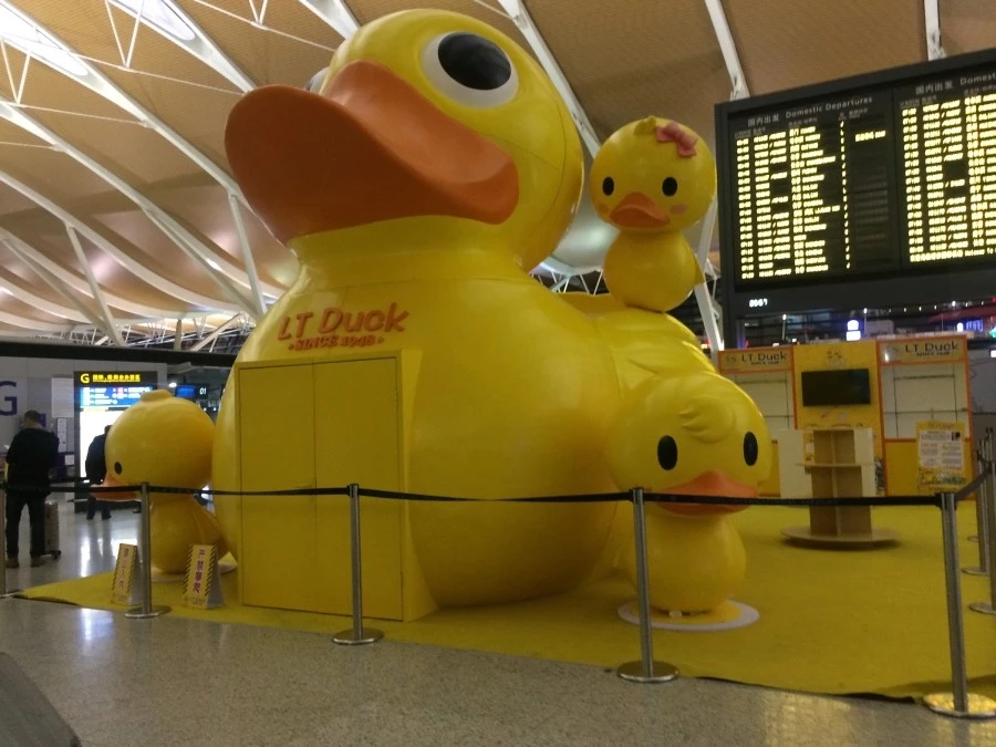 IMG_8268.jpg?type=w1