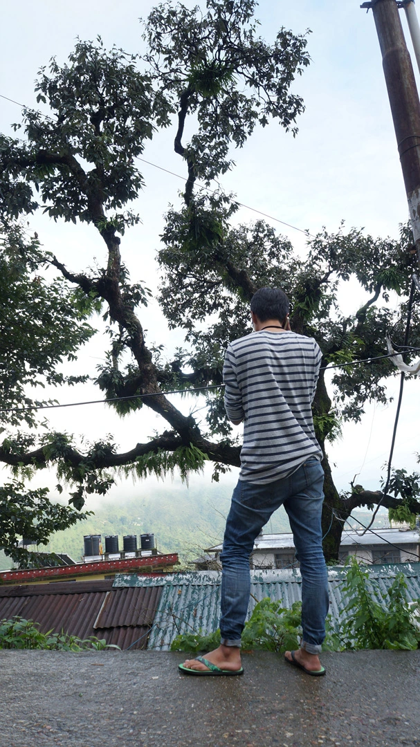 DSC02543.jpg?type=w1