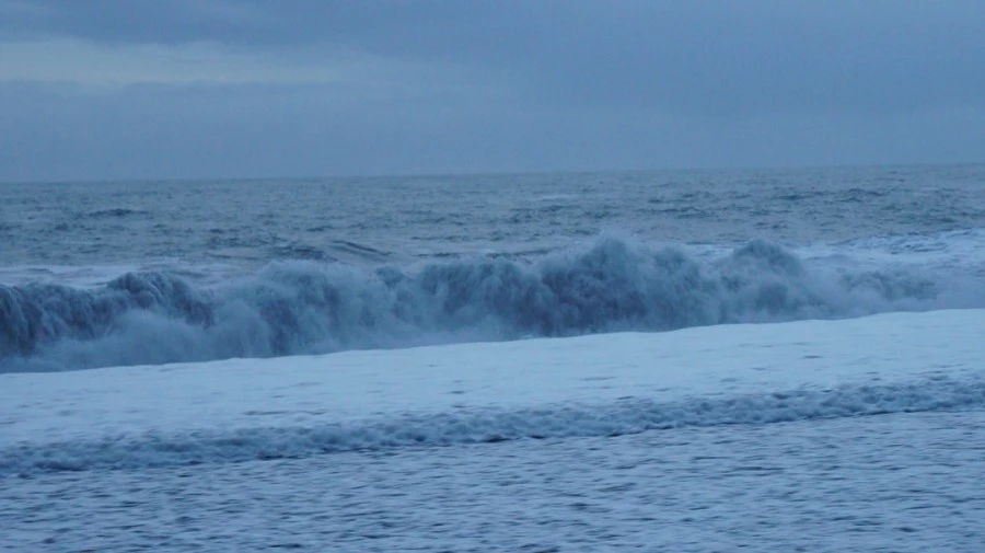 DSC08552.jpg?type=w1