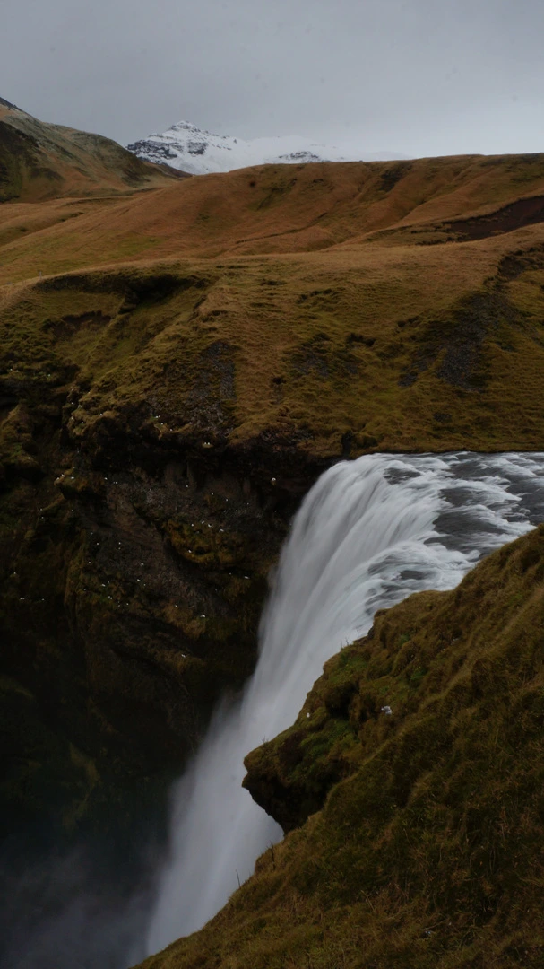 DSC08305%E3%85%A1.jpg?type=w1