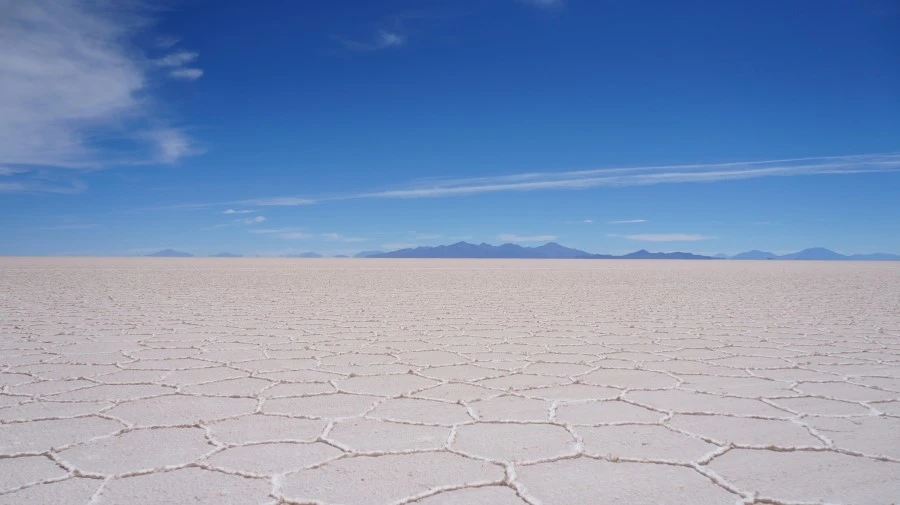 DSC01210.jpg?type=w1