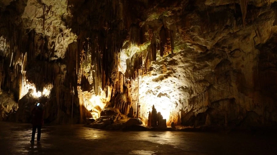 DSC06465.jpg?type=w1