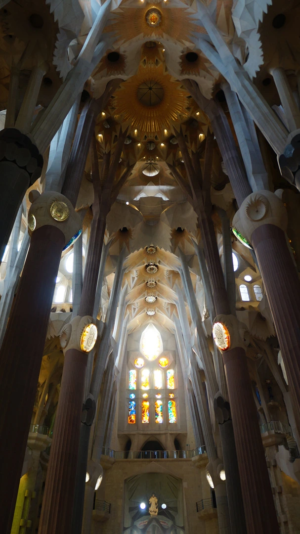 DSC09489.jpg?type=w1