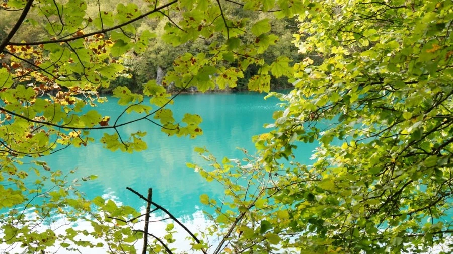 DSC05932.jpg?type=w1