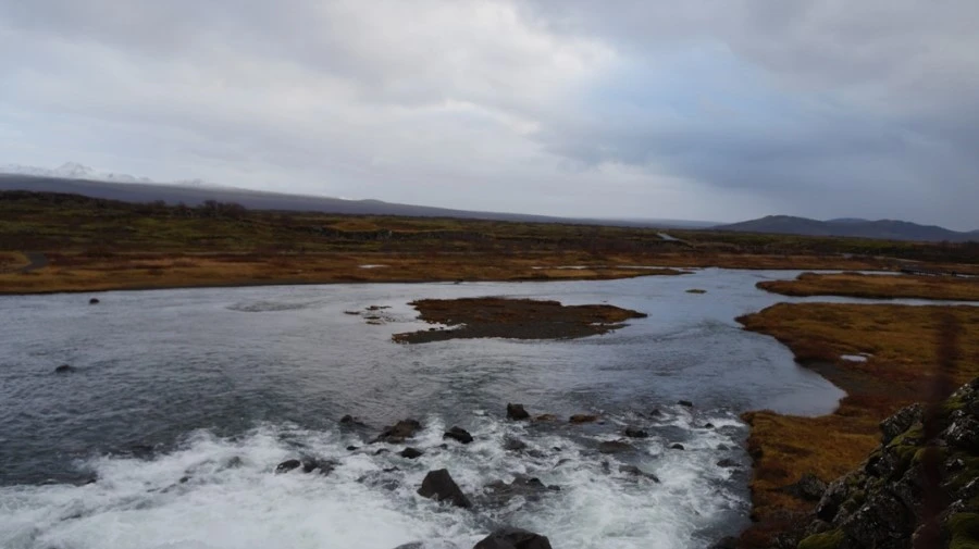 DSC07571.jpg?type=w1