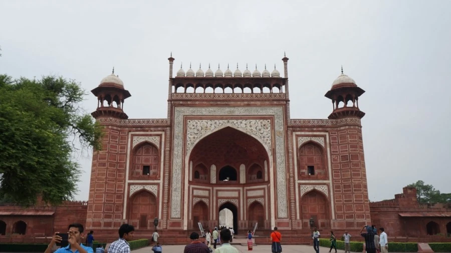 DSC03213.jpg?type=w1