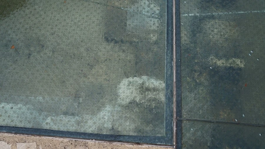 DSC06063.jpg?type=w1