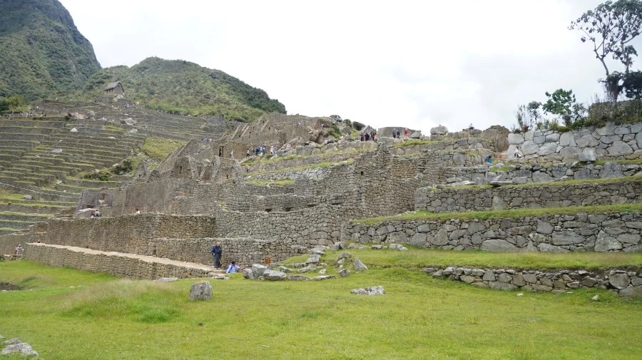 DSC01515.jpg?type=w1